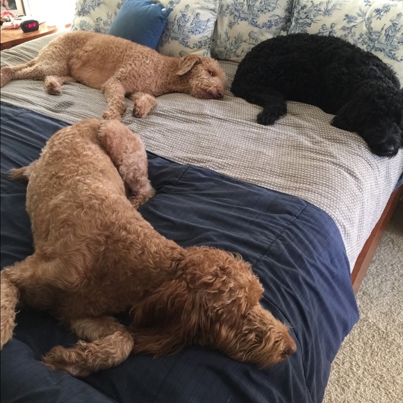 Meet your Posher, Krista - Picture 2 of 7